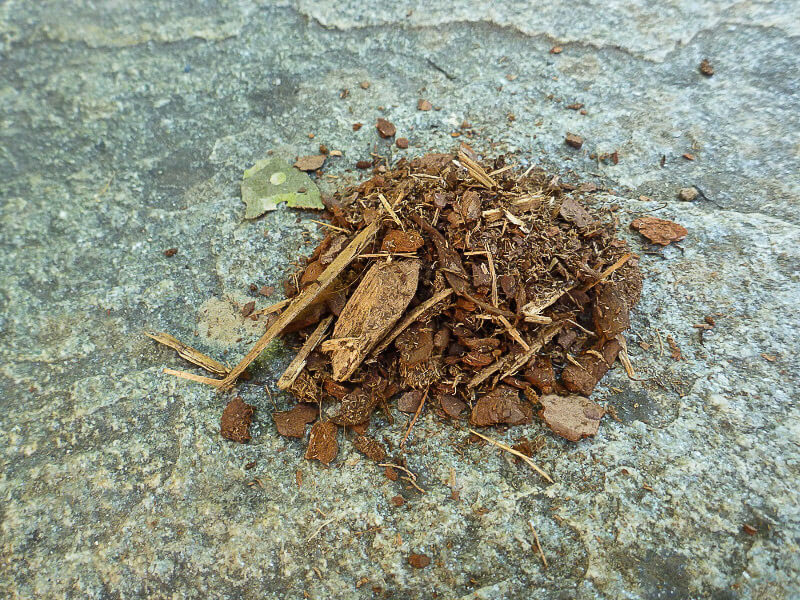 Mulch voor een droog toilet