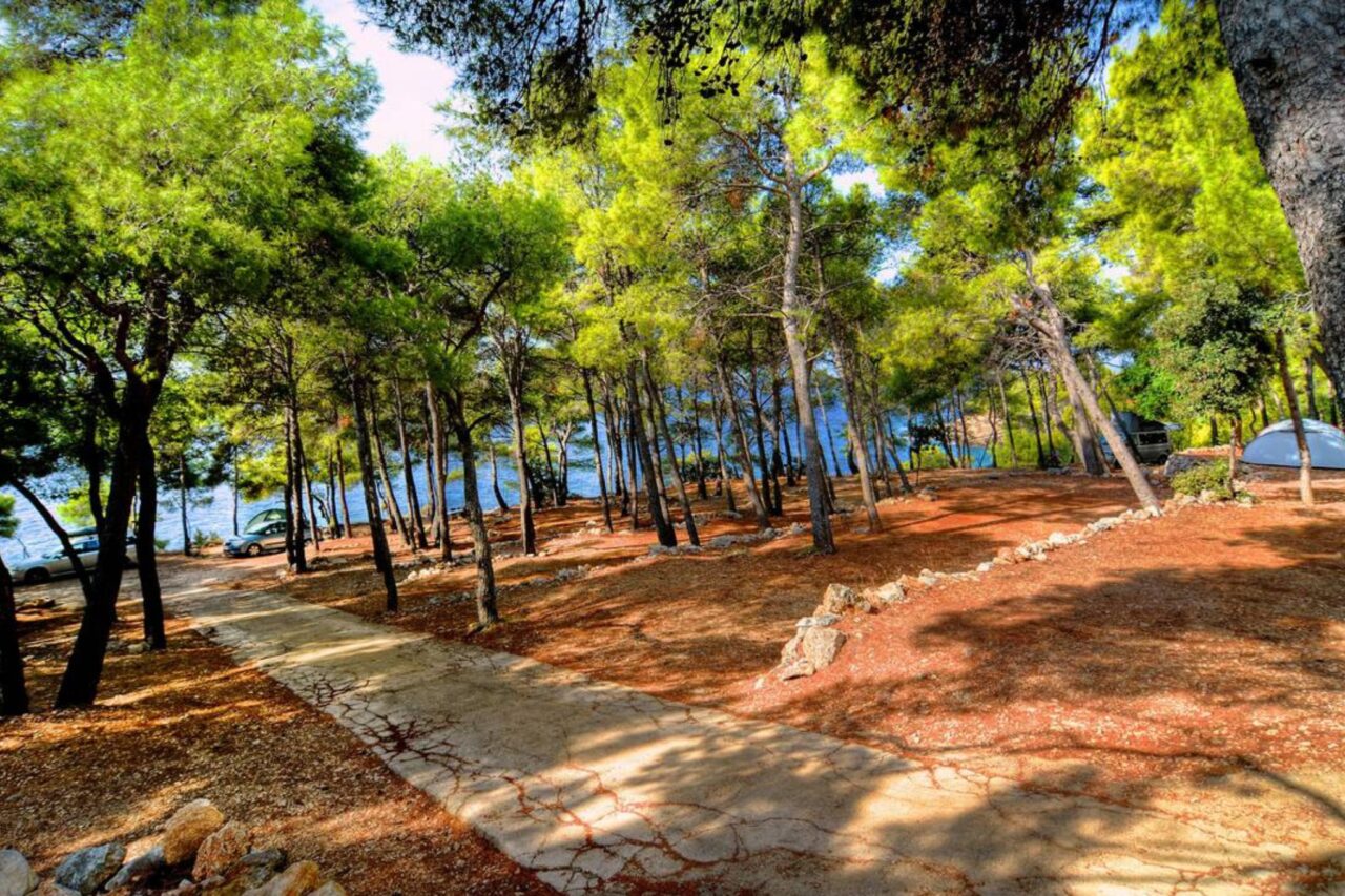 Kampeervakantie in Kroatië: populaire campings in zonnig Dalmatië 4 Campings Dalmatië - Een prachtige camping midden in de dennenbossen en direct aan zee. © camping.info