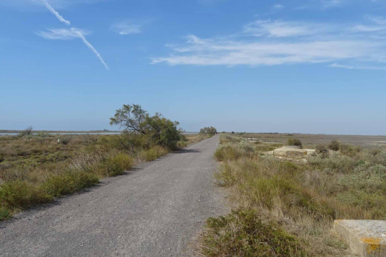 Camargue Camping - Fietstocht