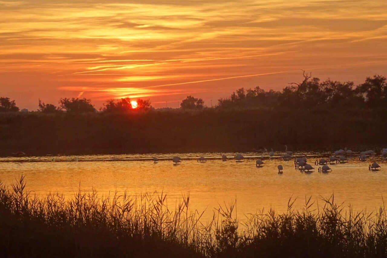Camargue Camping - Zonsondergang