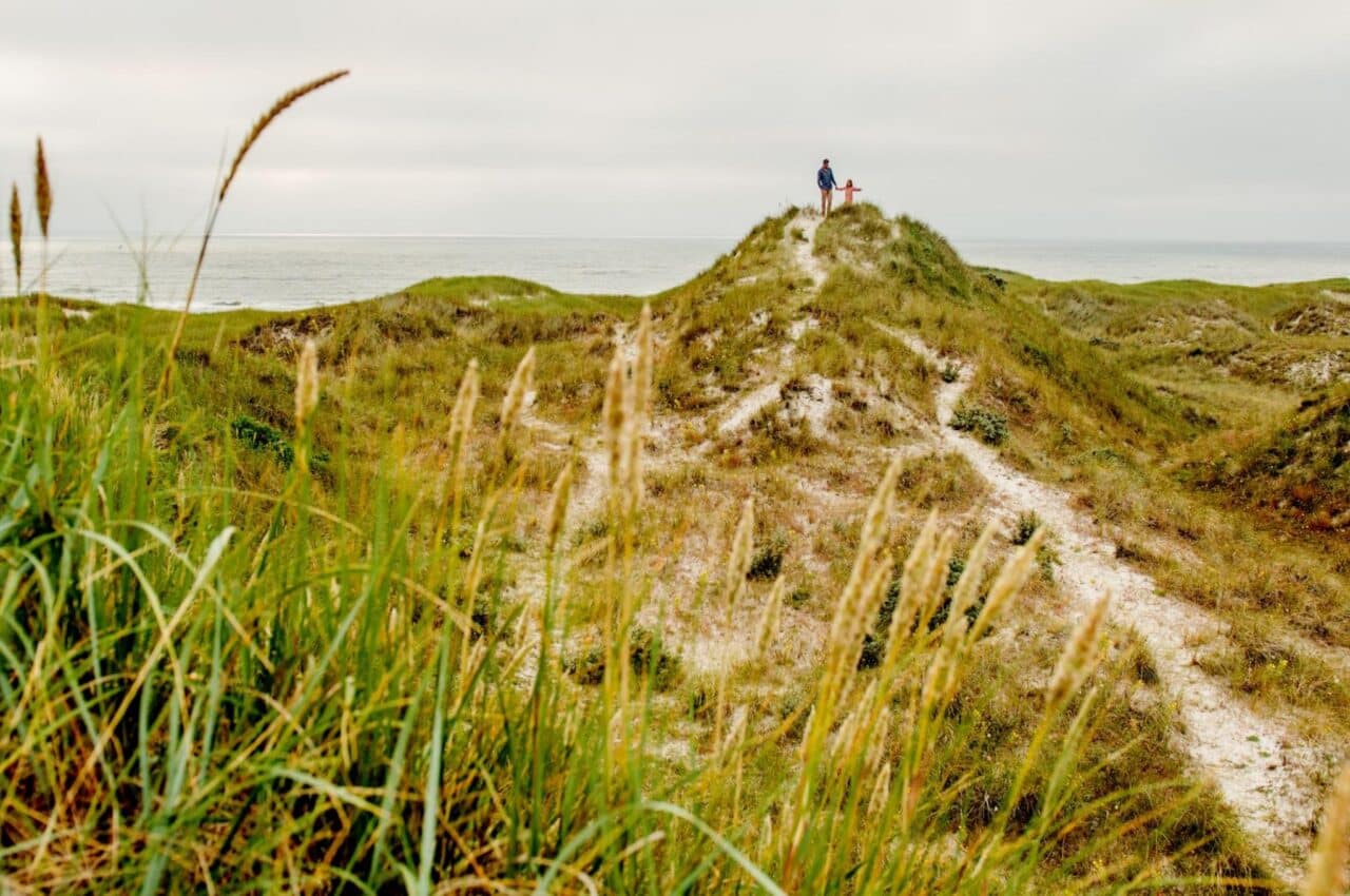 Campingland Denemarken: De perfecte vakantie in individuele, droomachtige huuraccommodatie 1 Denemarken Accommodatie te huur Natuur